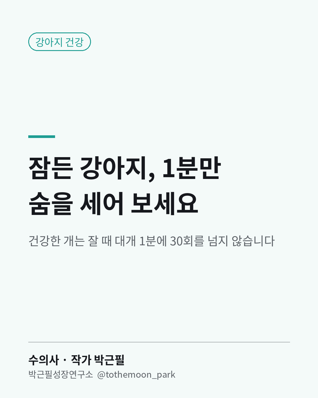 잠든 강아지, 1분만 숨을 세어 보세요.