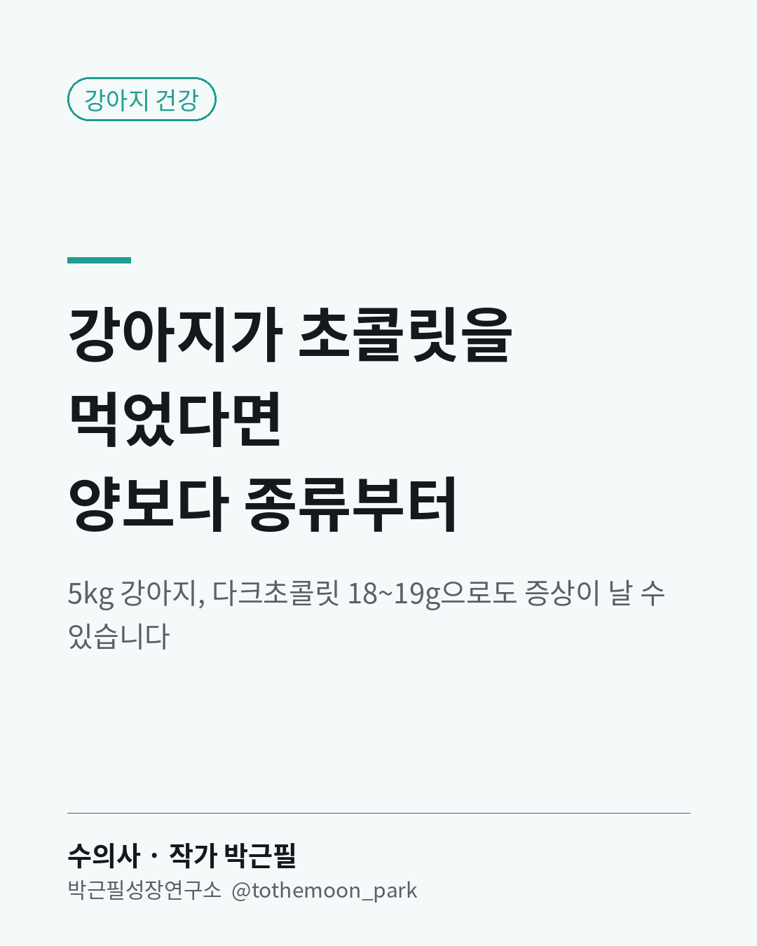 강아지가 초콜릿을 먹었다면 양보다 종류를 먼저 보세요.
