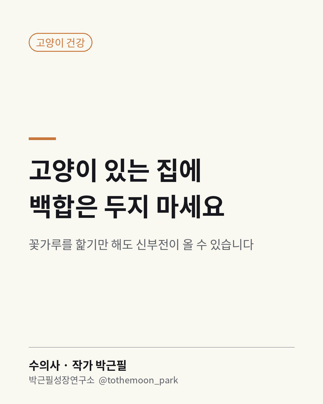 고양이가 있는 집에는 백합을 두지 마세요.