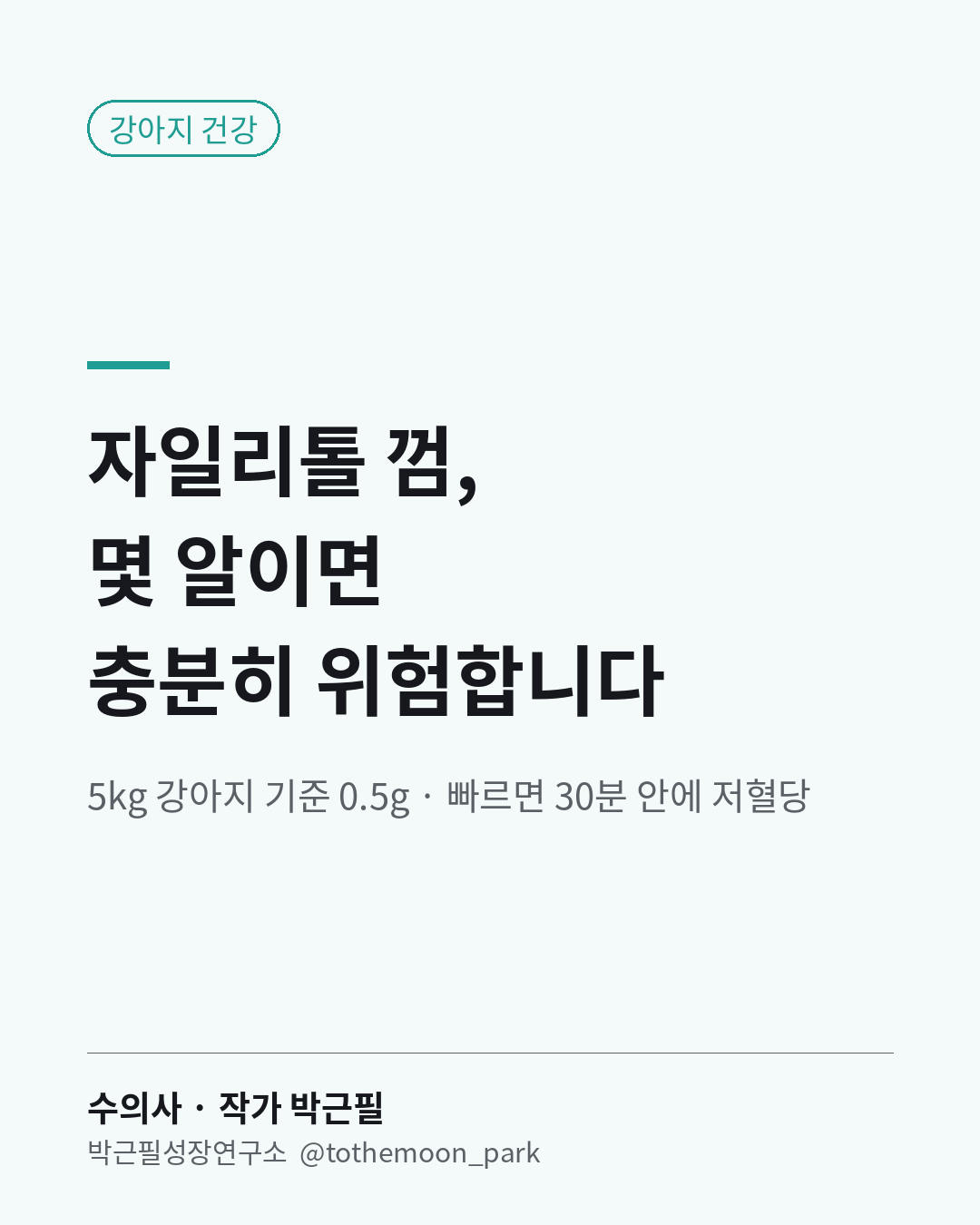 강아지가 자일리톨 껌을 먹었다면 기다리지 말고 바로 병원에 전화하세요.