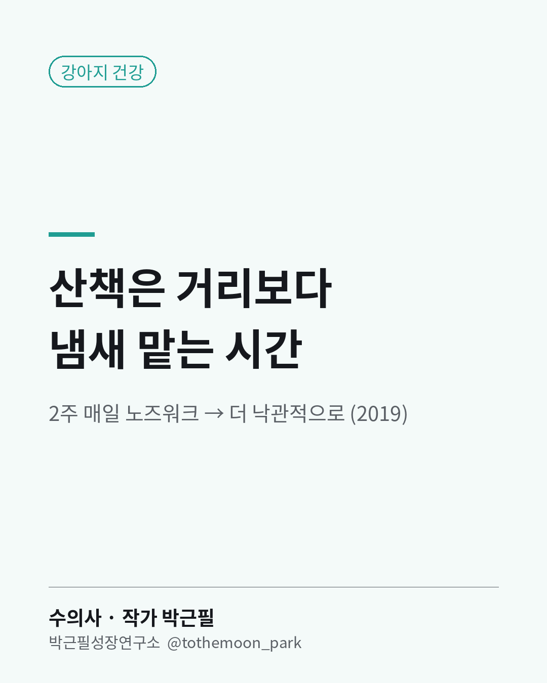 강아지 산책, 걷는 거리보다 냄새 맡는 시간이 중요할 수 있습니다.