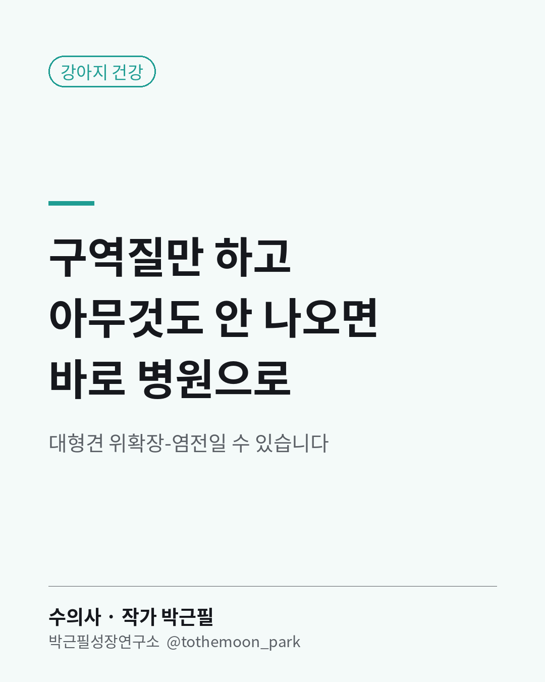 대형견이 토하려고 애쓰는데 아무것도 안 나온다면 바로 병원으로 가세요.