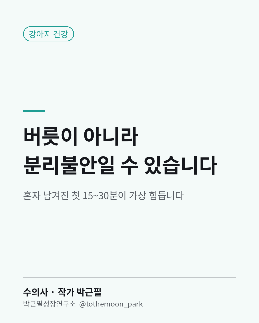혼자 두면 짖고, 서성이고, 집 안에 실수하고, 문을 긁는 강아지가 있습니다.