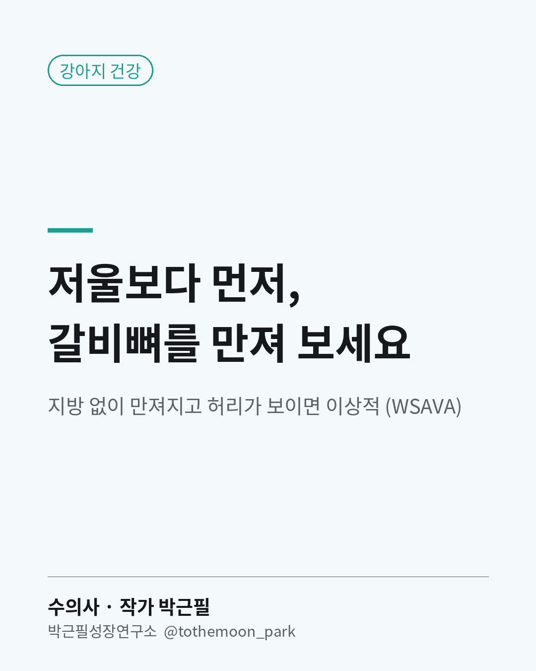 우리 강아지가 살쪘는지는 저울보다 손으로 먼저 알 수 있습니다.