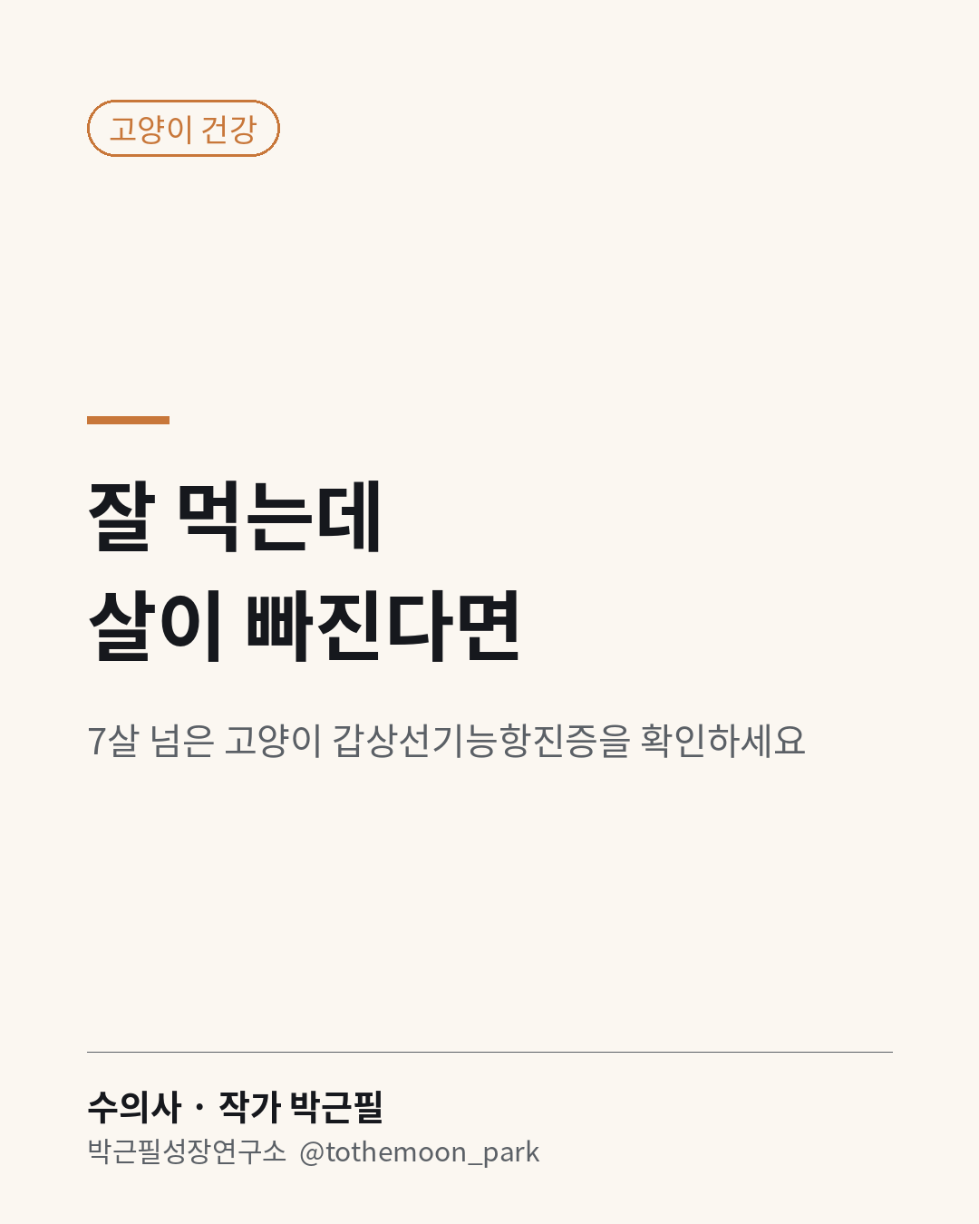 나이 든 고양이가 밥은 더 잘 먹는데 살이 빠진다면 병원에서 확인해 보세요.