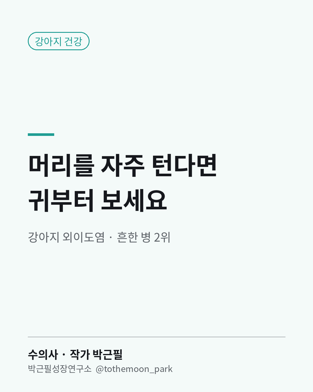 강아지가 머리를 자주 흔들고 귀를 긁는다면 귀를 먼저 들여다보세요.