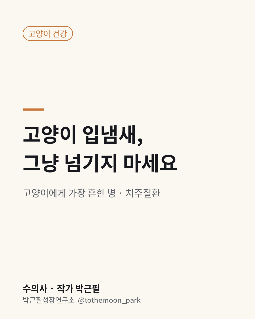 고양이 입냄새, 그냥 넘기지 마세요.