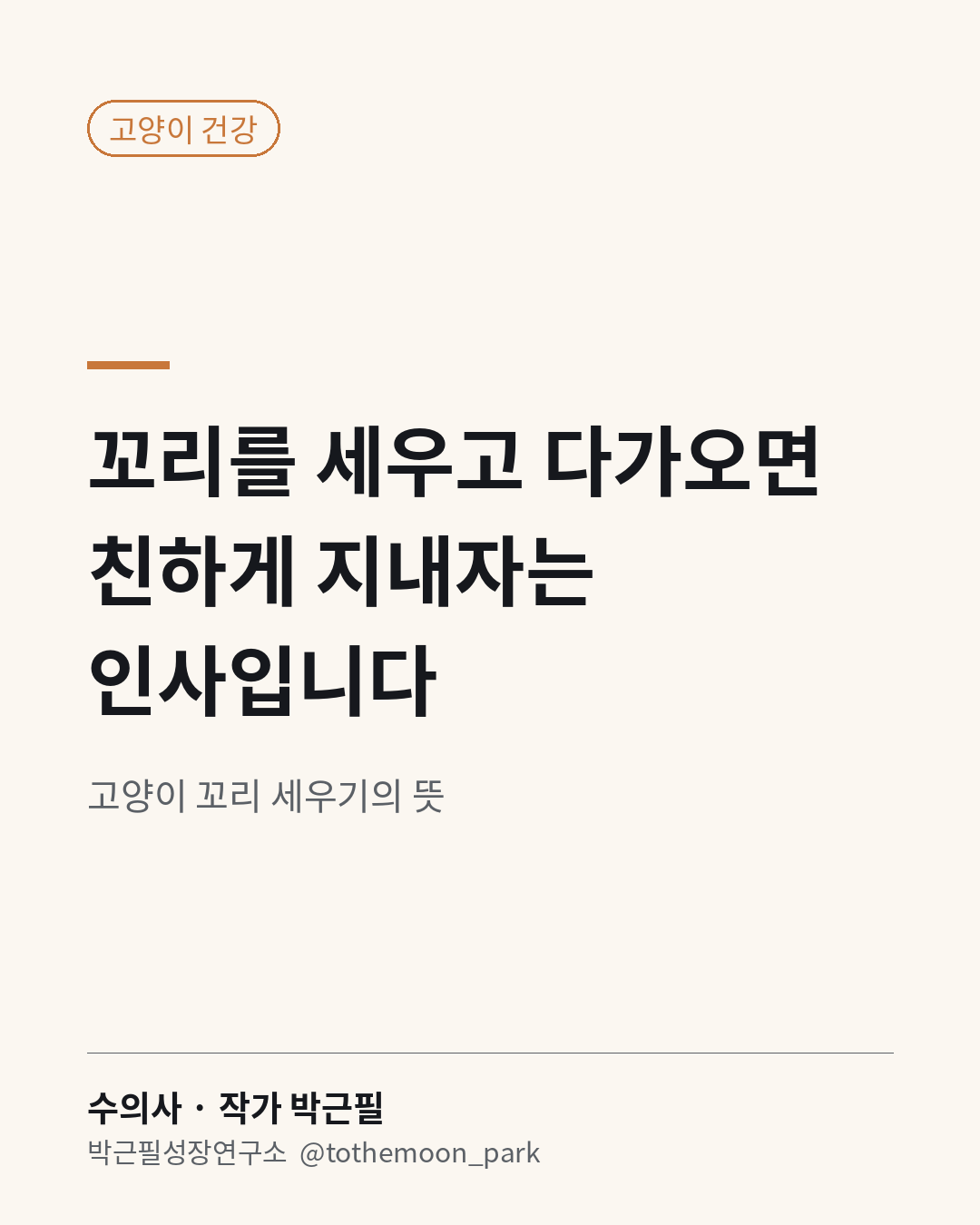 고양이가 꼬리를 곧게 세우고 다가온다면 친하게 지내고 싶다는 인사입니다.