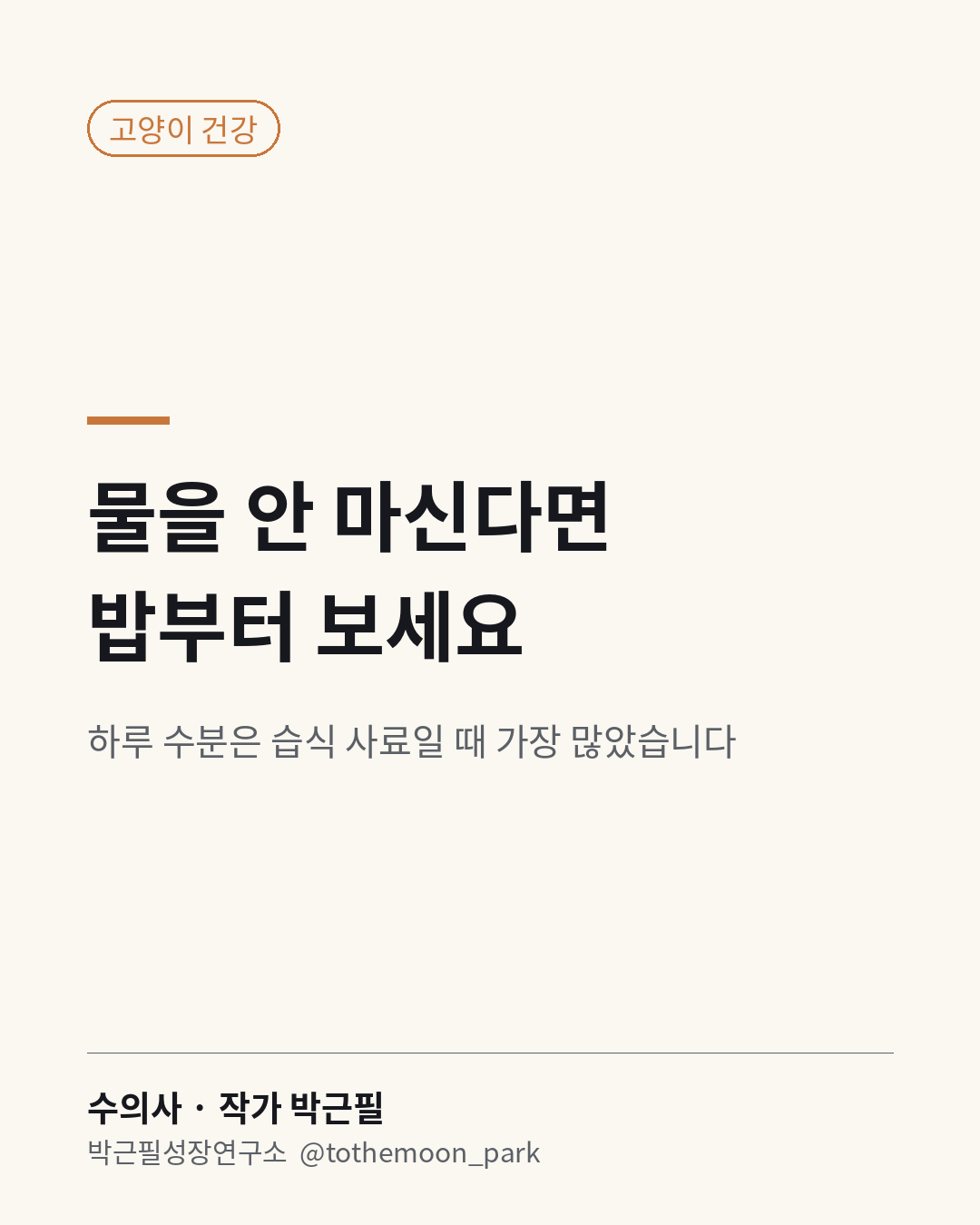 고양이가 물을 잘 안 마셔 걱정이라면 물그릇보다 밥을 먼저 보세요.