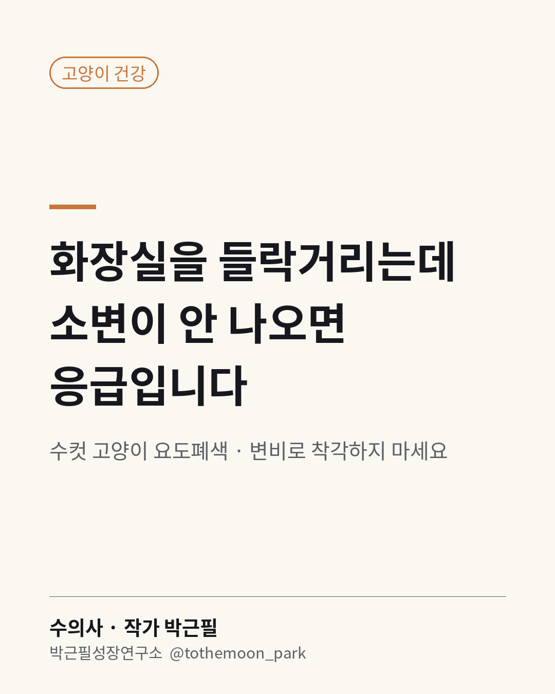수컷 고양이가 화장실을 자꾸 들락거리는데 소변이 안 나온다면 응급입니다.