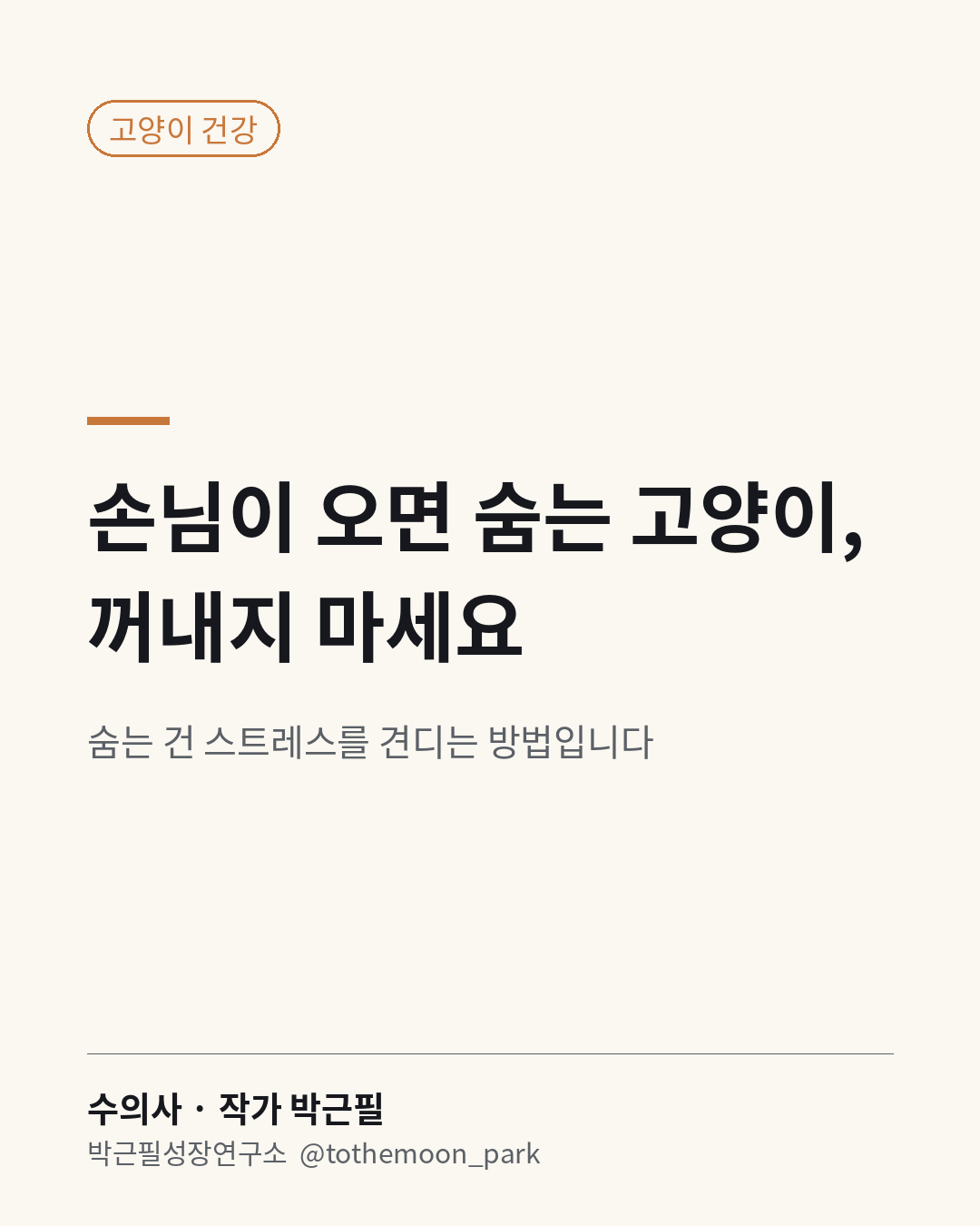 명절에 손님이 오면 고양이가 침대 밑으로 숨습니다.