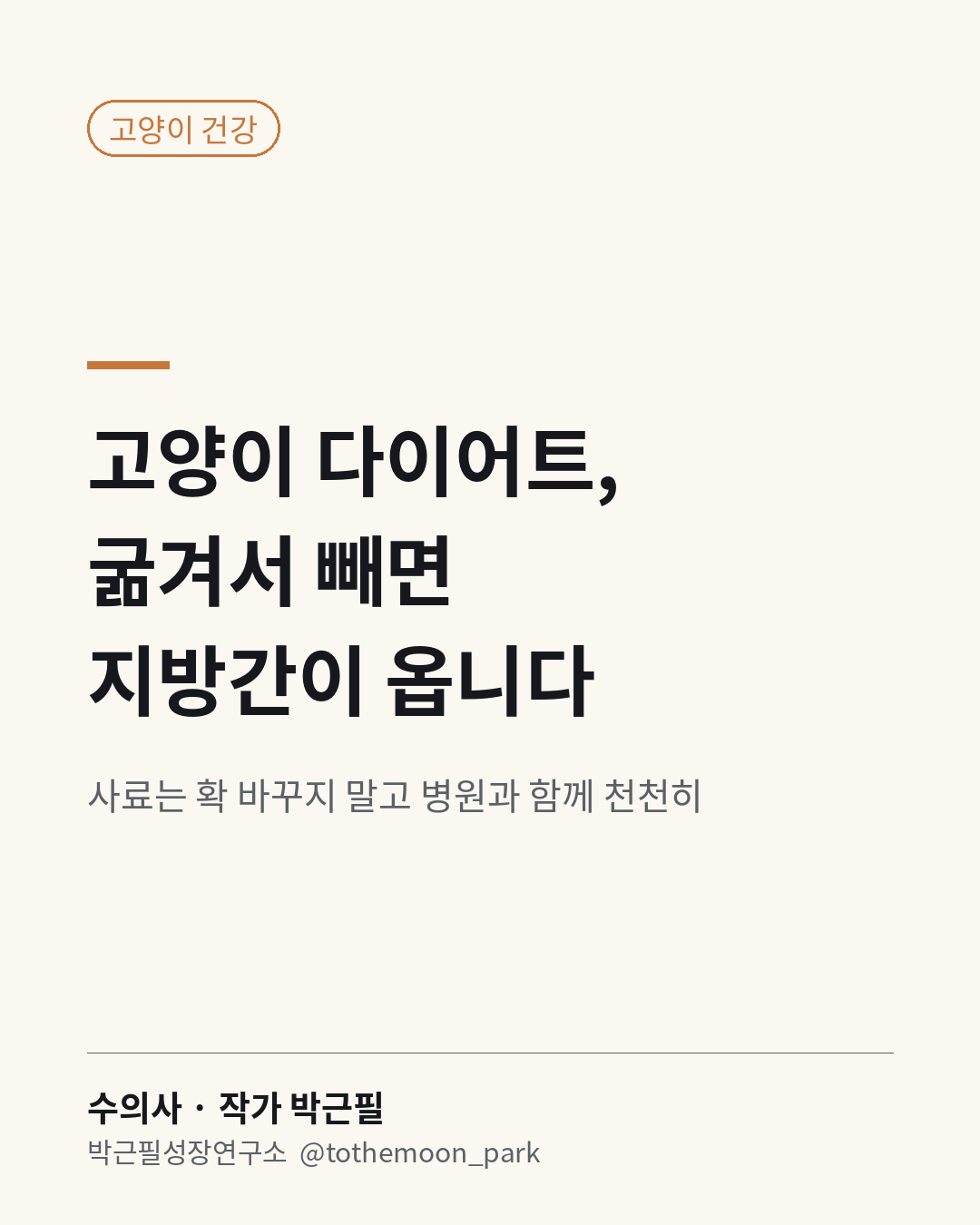 고양이 다이어트, 사료를 확 바꾸거나 굶겨서 빼면 안 됩니다.