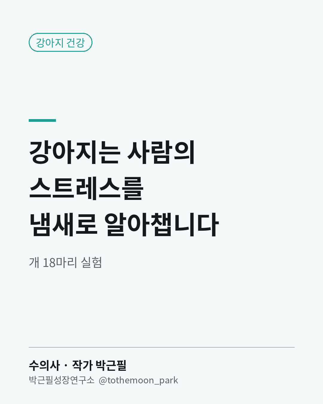 강아지는 사람의 스트레스를 냄새로 알아챕니다.