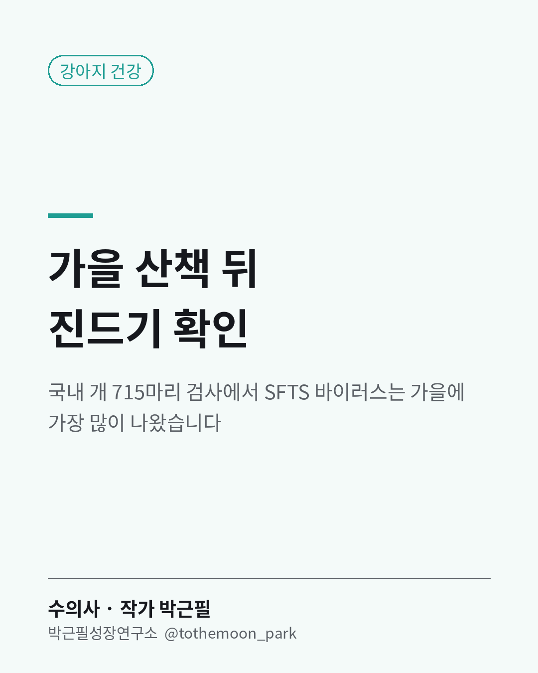 가을 산책 뒤 강아지 몸에서 진드기를 찾아보신 적 있으신가요?