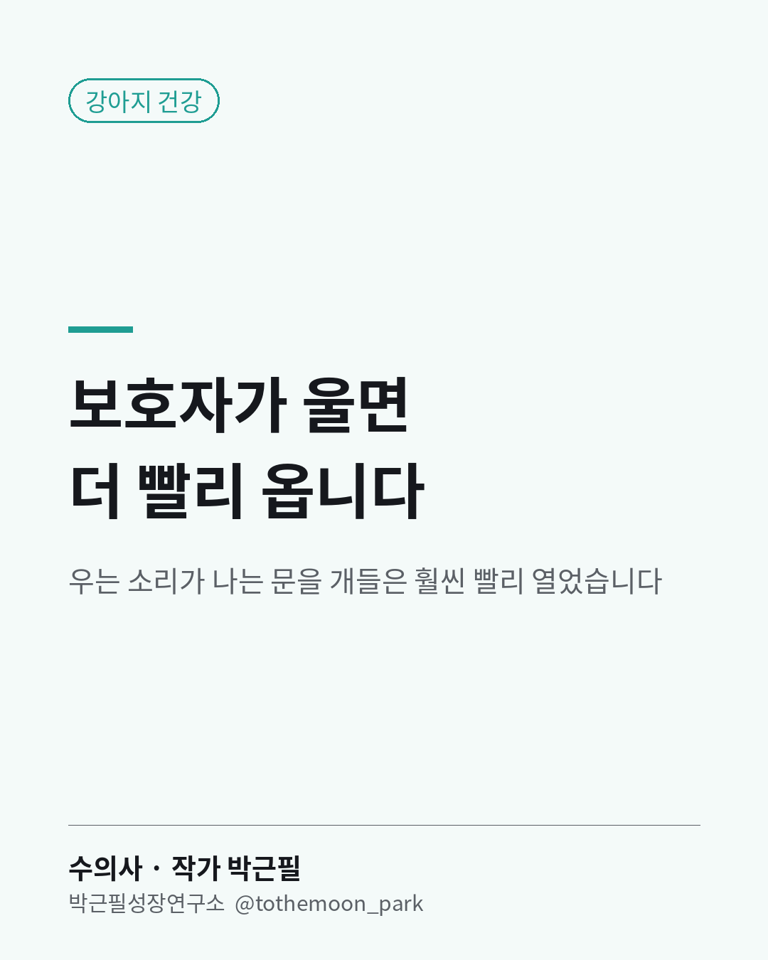 내가 울 때 우리 강아지가 곁에 와 준 적 있으신가요?
