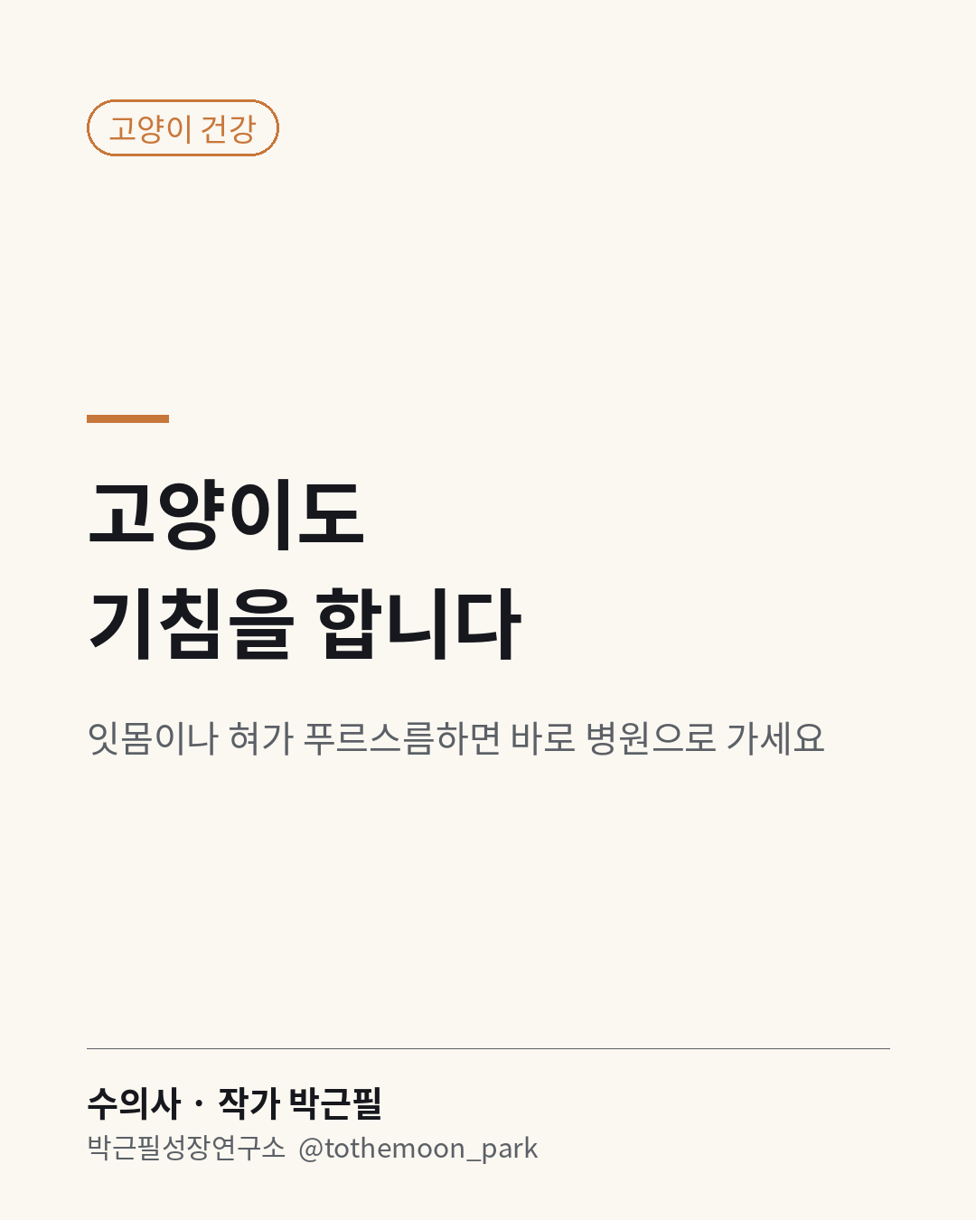 고양이도 기침을 합니다.