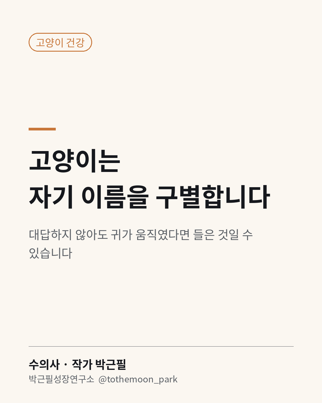 우리 고양이, 이름을 부르면 알아들을까요?