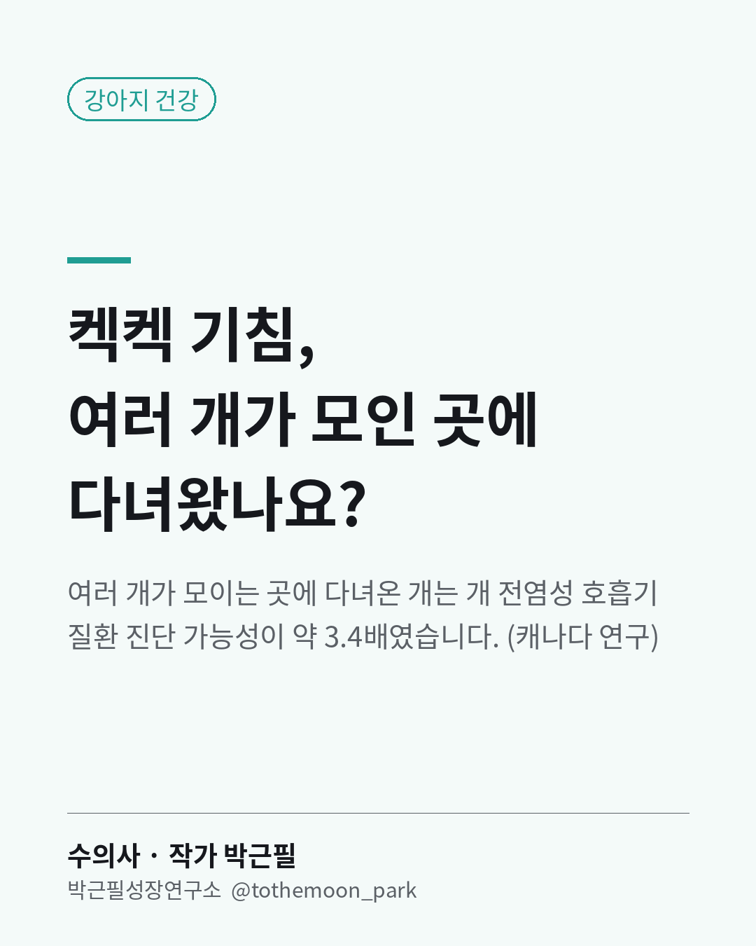 강아지가 켁켁 기침을 하나요?