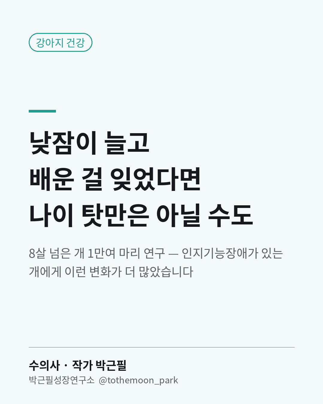나이 든 강아지가 낮잠이 늘고, 배운 걸 잊고, 입맛이 줄었나요?