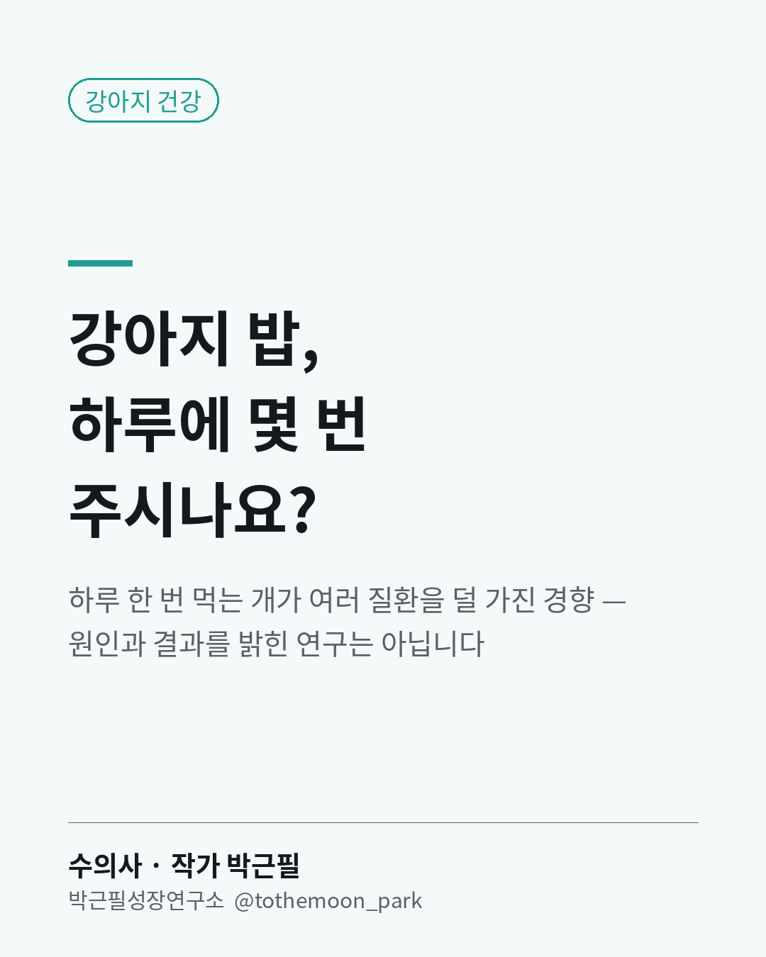 강아지 밥, 하루에 몇 번 주시나요?
