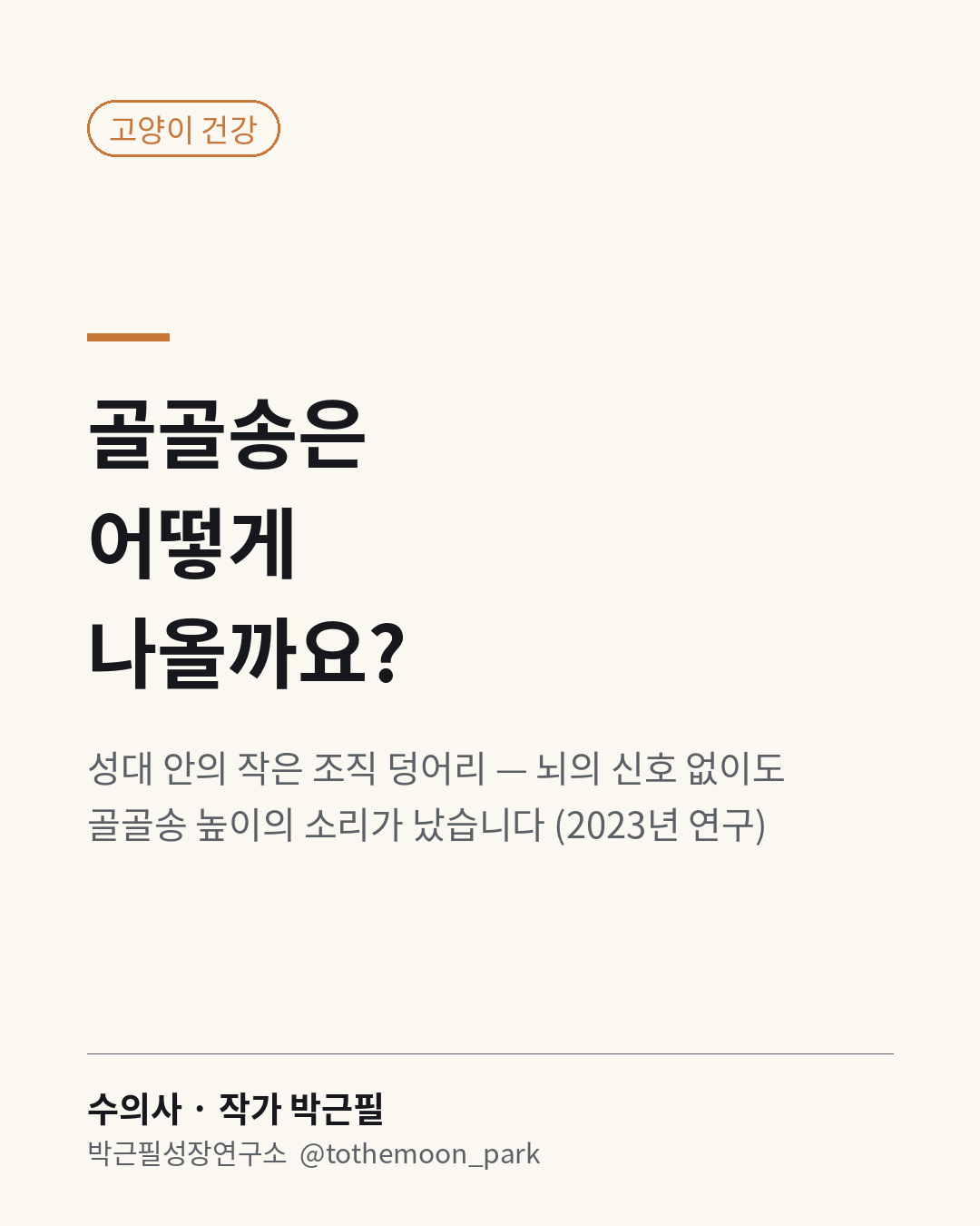 고양이 골골송은 어떻게 나올까요?