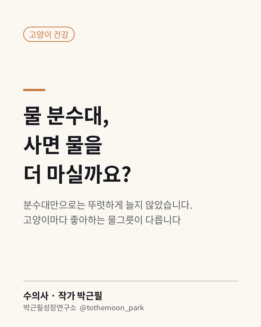 고양이 물 분수대, 사면 물을 더 마실까요?
