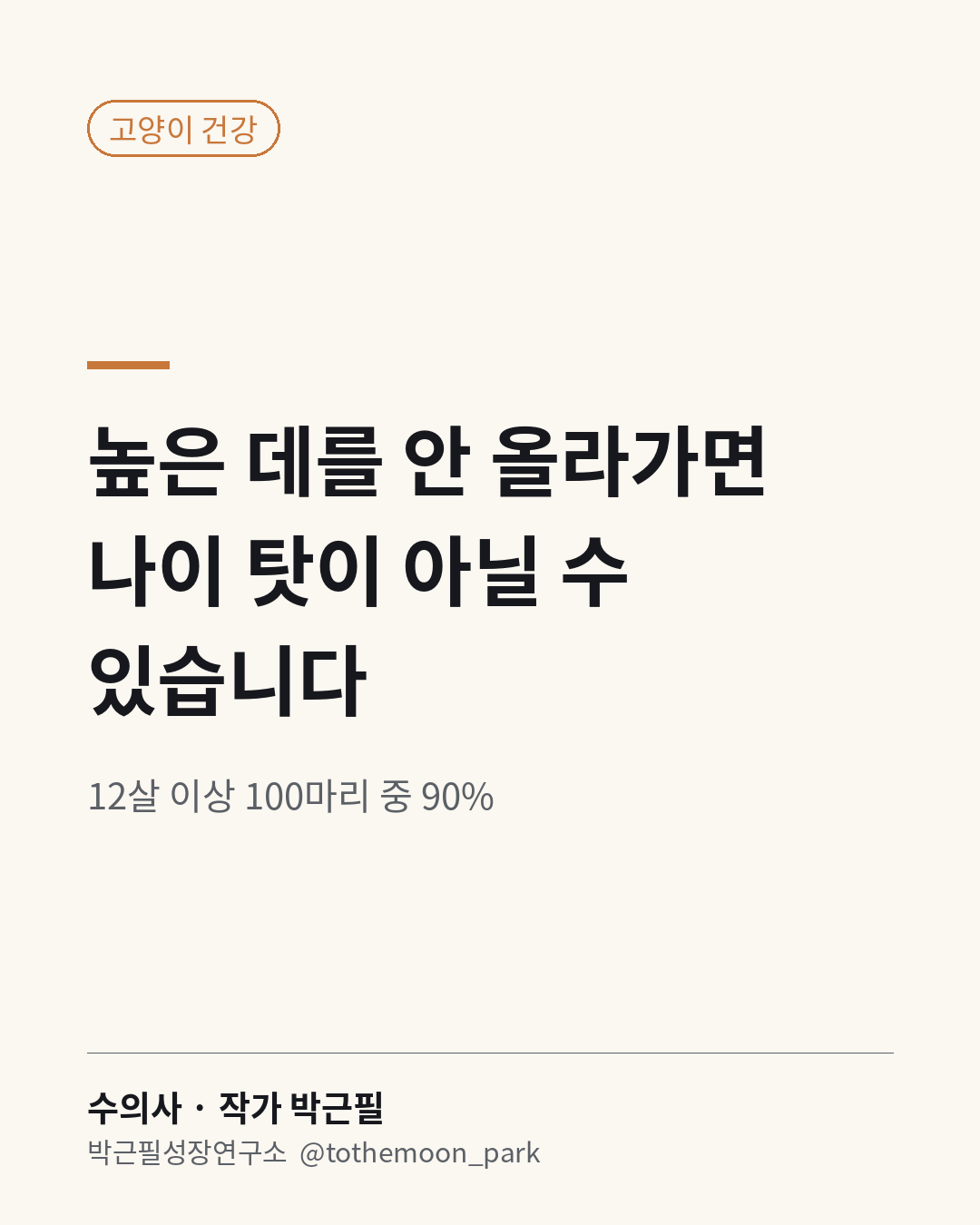 나이 든 고양이가 높은 데를 안 올라가면 나이 탓만은 아닐 수 있습니다.