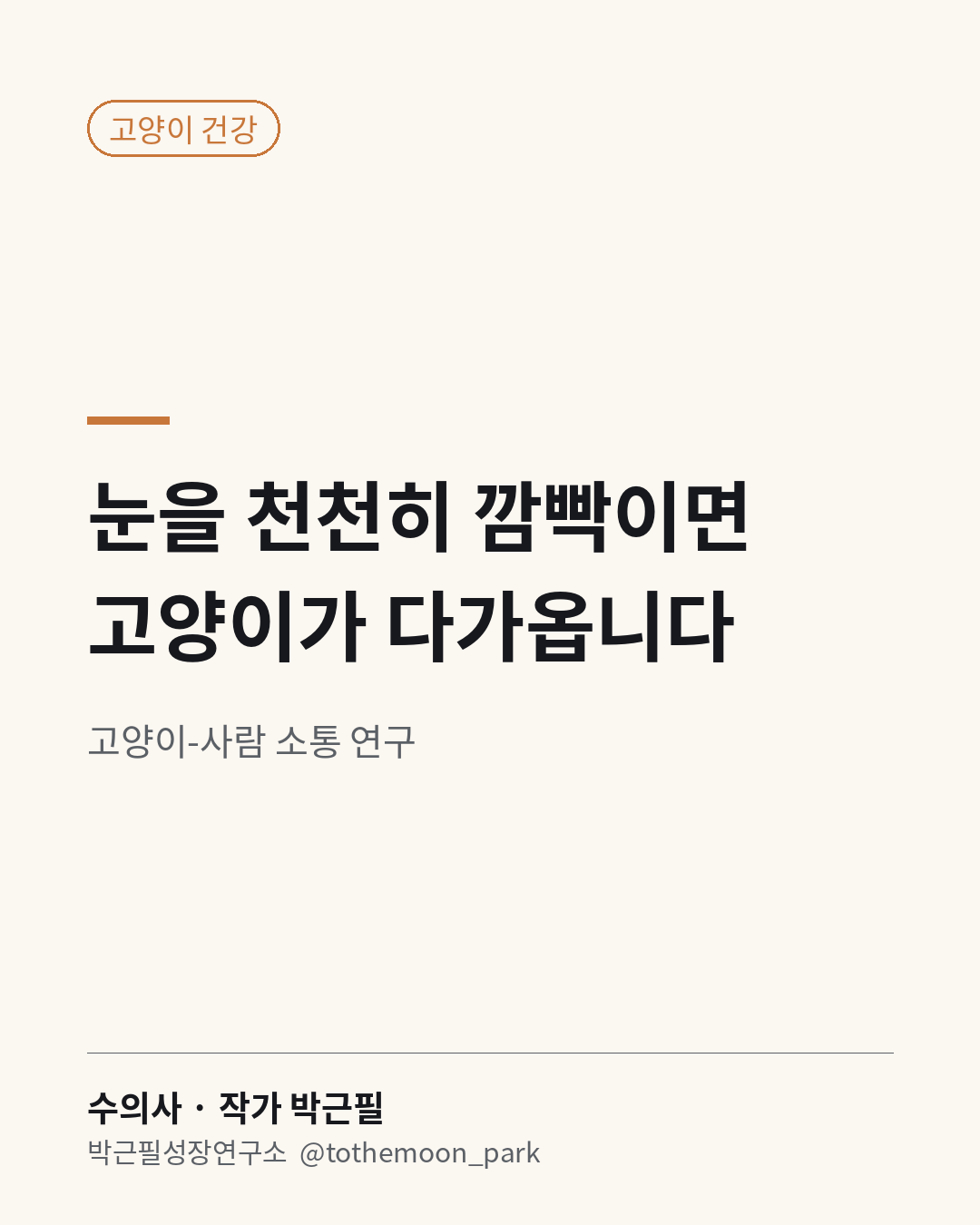 고양이와 친해지고 싶으면 눈을 천천히 깜빡여 보세요.