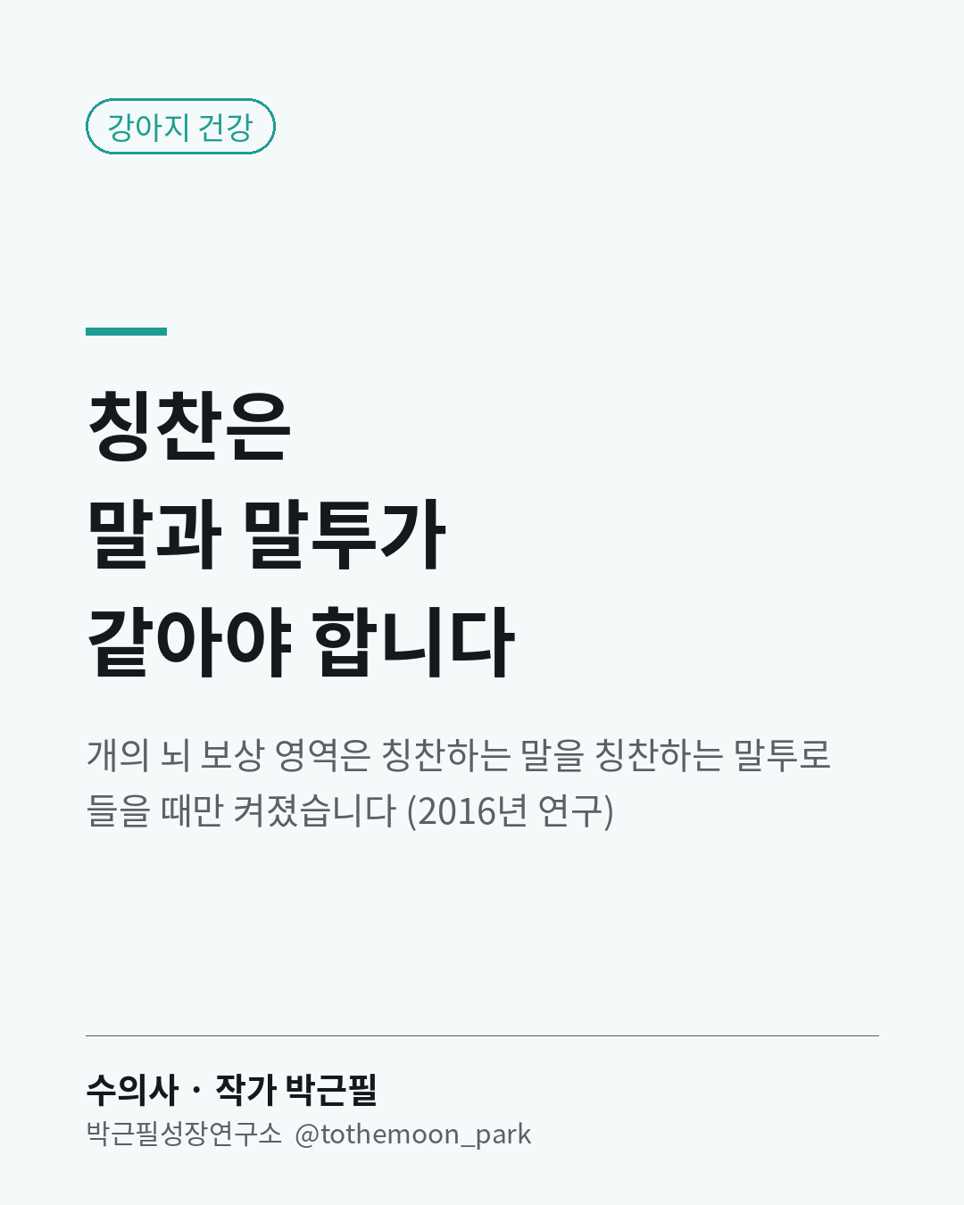 강아지를 칭찬할 때, 말과 말투 중 무엇이 중요할까요?