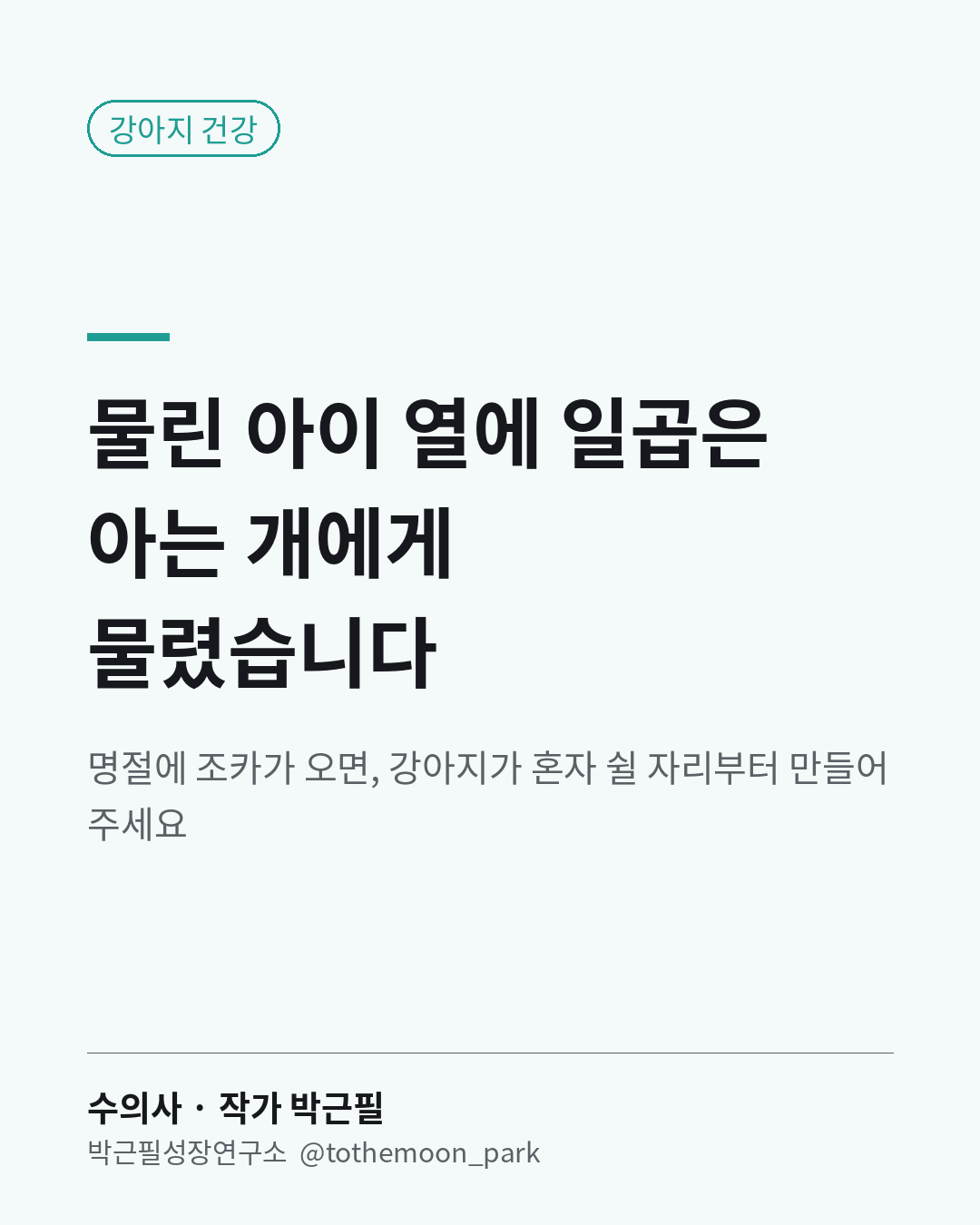 명절에 아이가 아는 강아지에게 물릴 수 있을까요?
