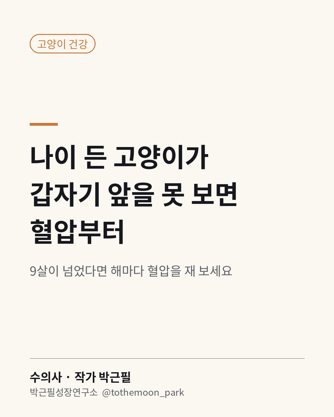 나이 든 고양이가 갑자기 앞을 못 보나요?