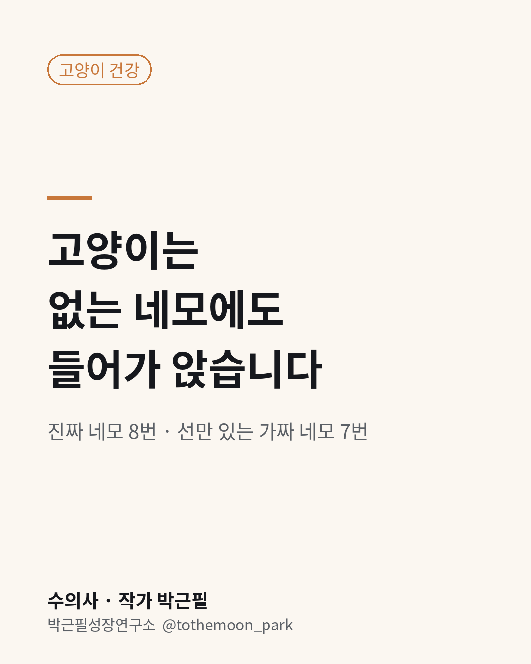 고양이는 왜 상자도 아닌 네모 안에 앉을까요?