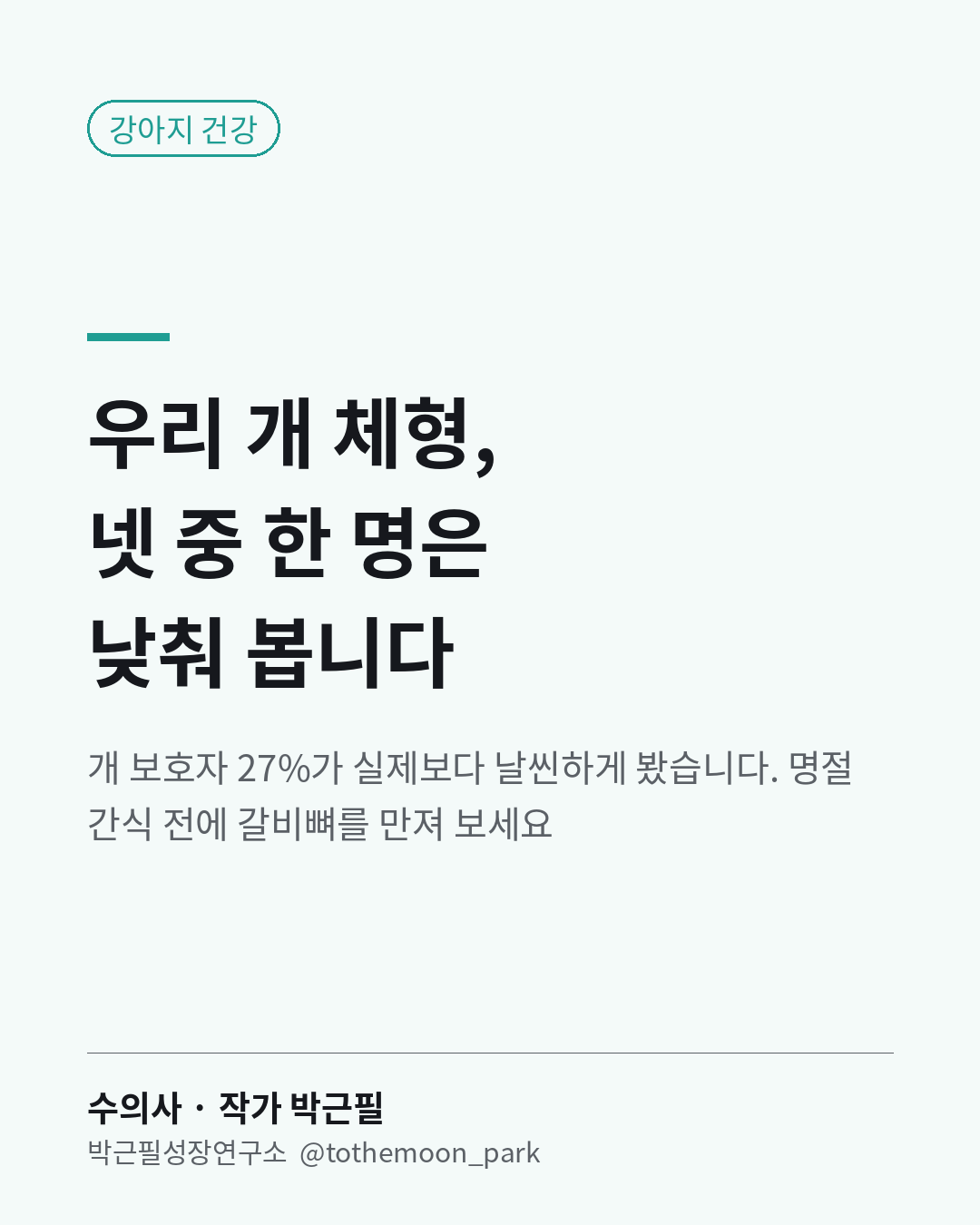 우리 강아지 체형, 정확히 보고 계신가요?