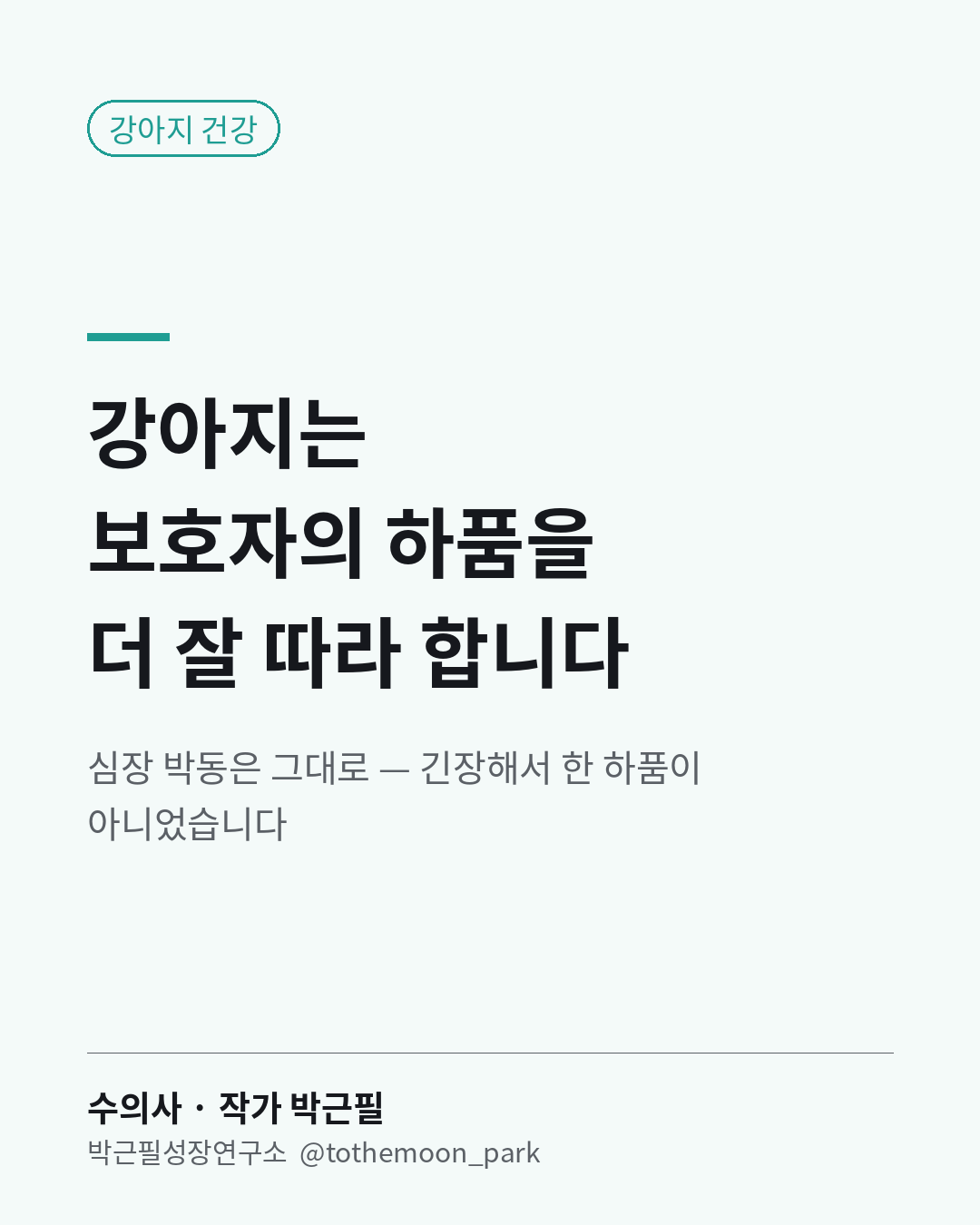 강아지 앞에서 하품하면 따라 할까요?