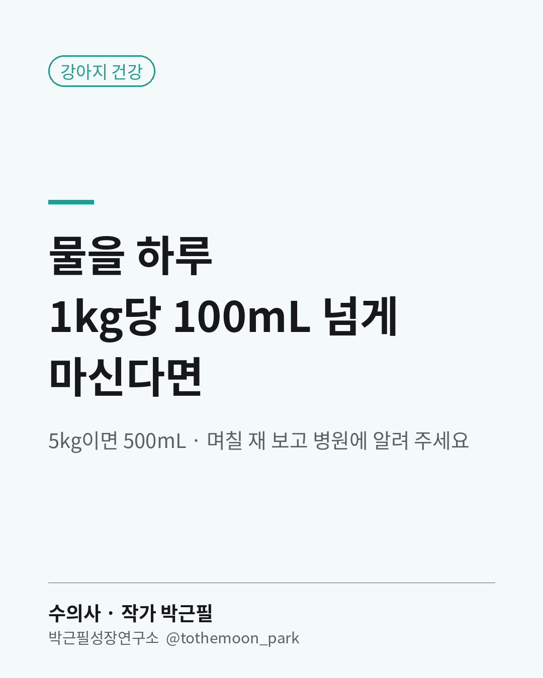 강아지 물 마시는 양, 얼마부터 많은 걸까요?