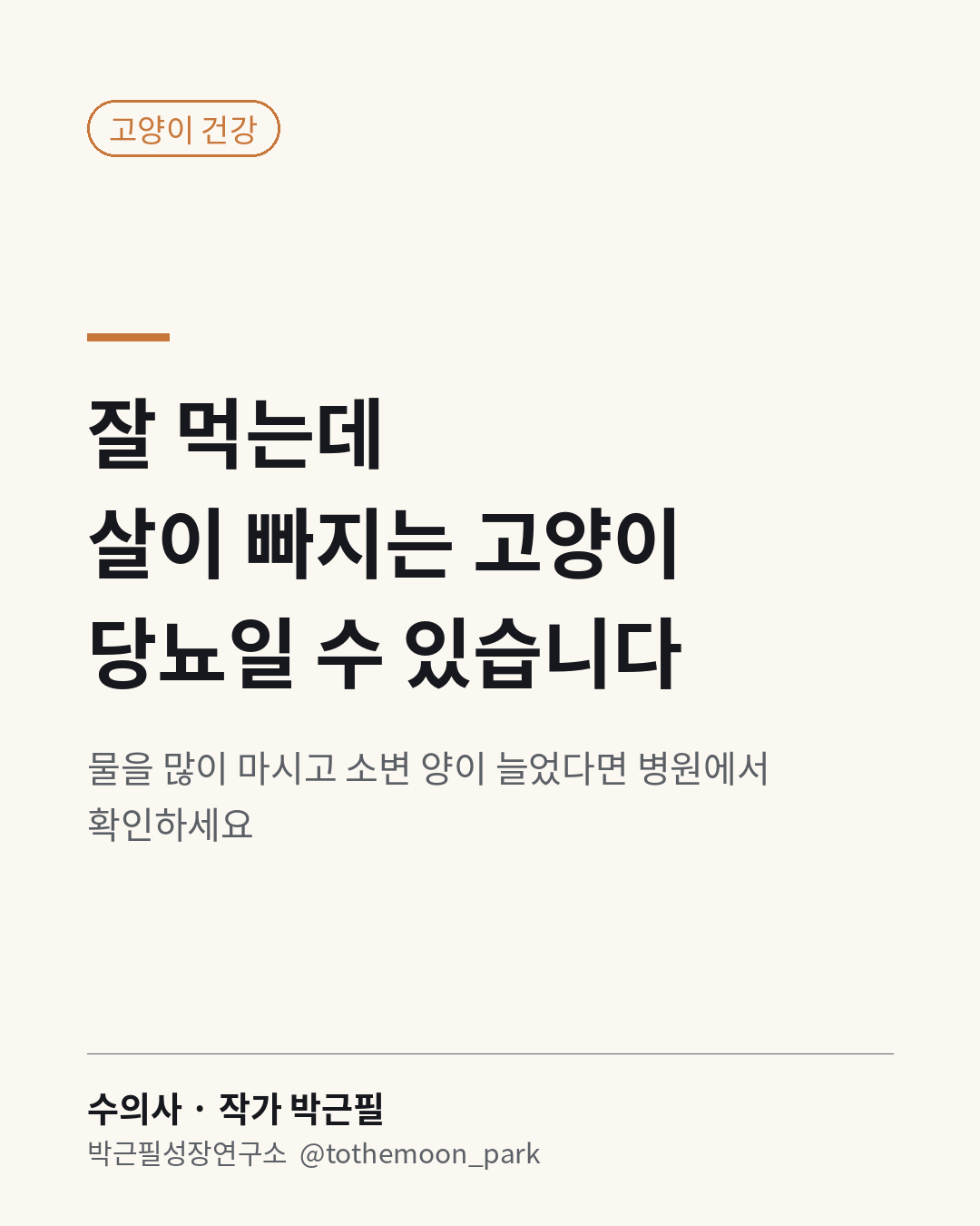 고양이가 물을 많이 마시고, 잘 먹는데 살이 빠지나요?