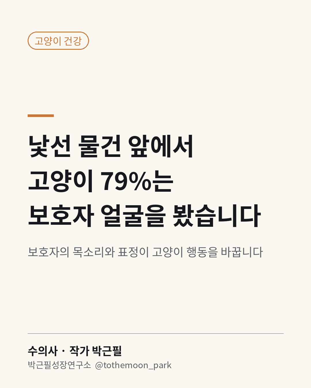낯선 물건 앞에서 고양이는 무엇을 볼까요?