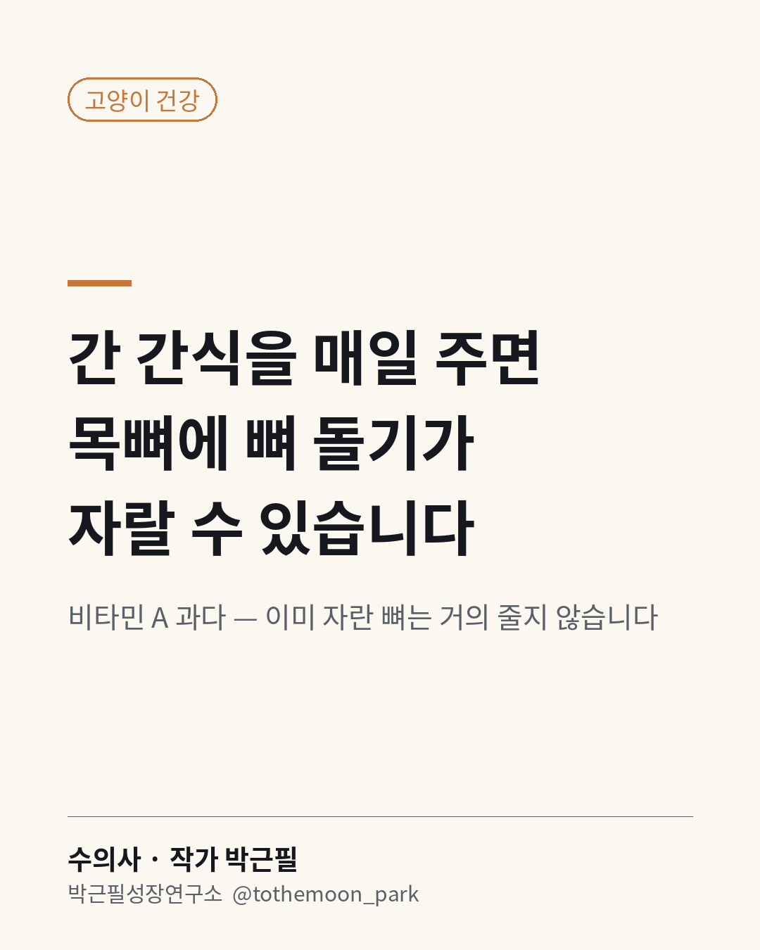 고양이에게 간 간식을 매일 주시나요?