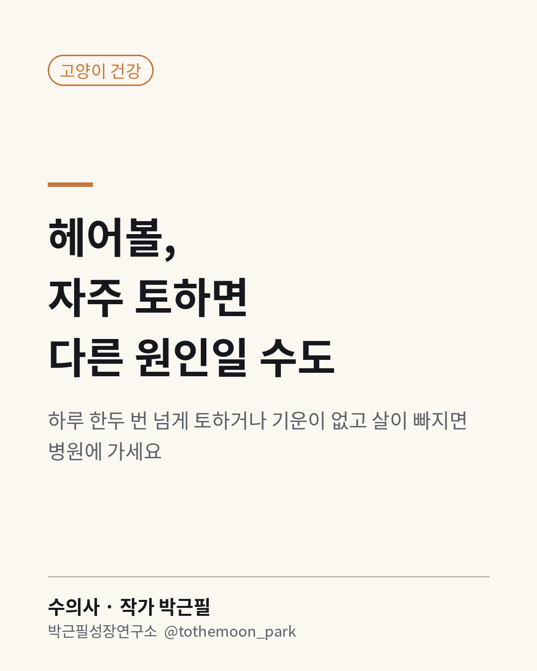 고양이가 헤어볼을 자주 토하나요?