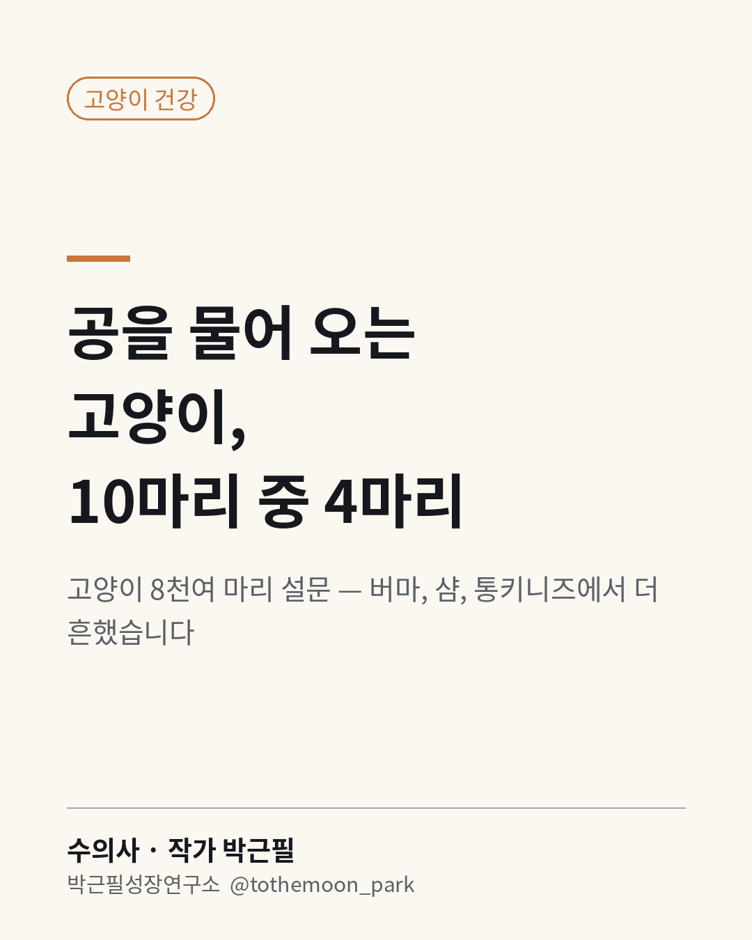 우리 고양이도 공을 물어 올까요?