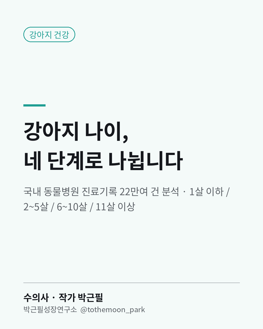 강아지 나이, 몇 살부터 다르게 봐야 할까요?