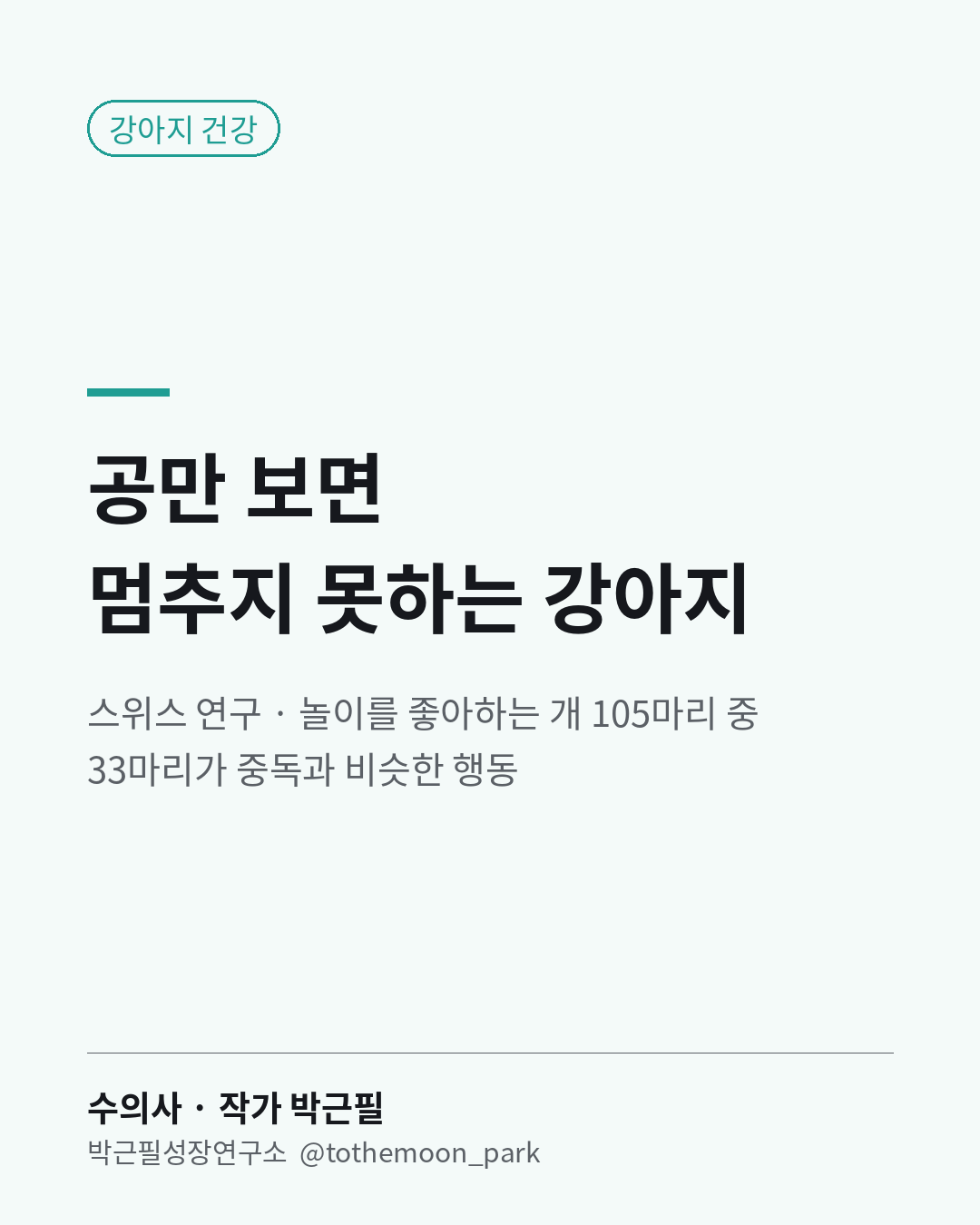 공만 보면 멈추지 못하는 강아지, 괜찮을까요?