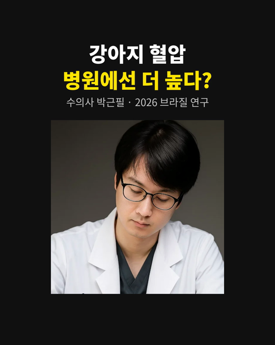 강아지 혈압, 병원에서 재면 더 높게 나올 수 있습니다.