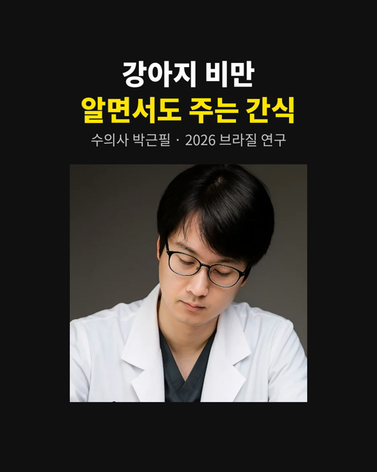 강아지 비만, 알고는 있는데 줄이기 어려우시죠?