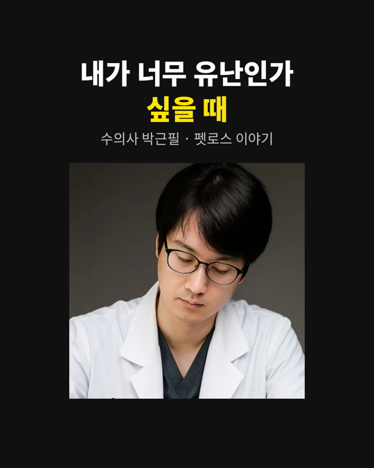 반려동물을 떠나보내고 「내가 너무 유난인가」 생각해 보신 적 있나요?
