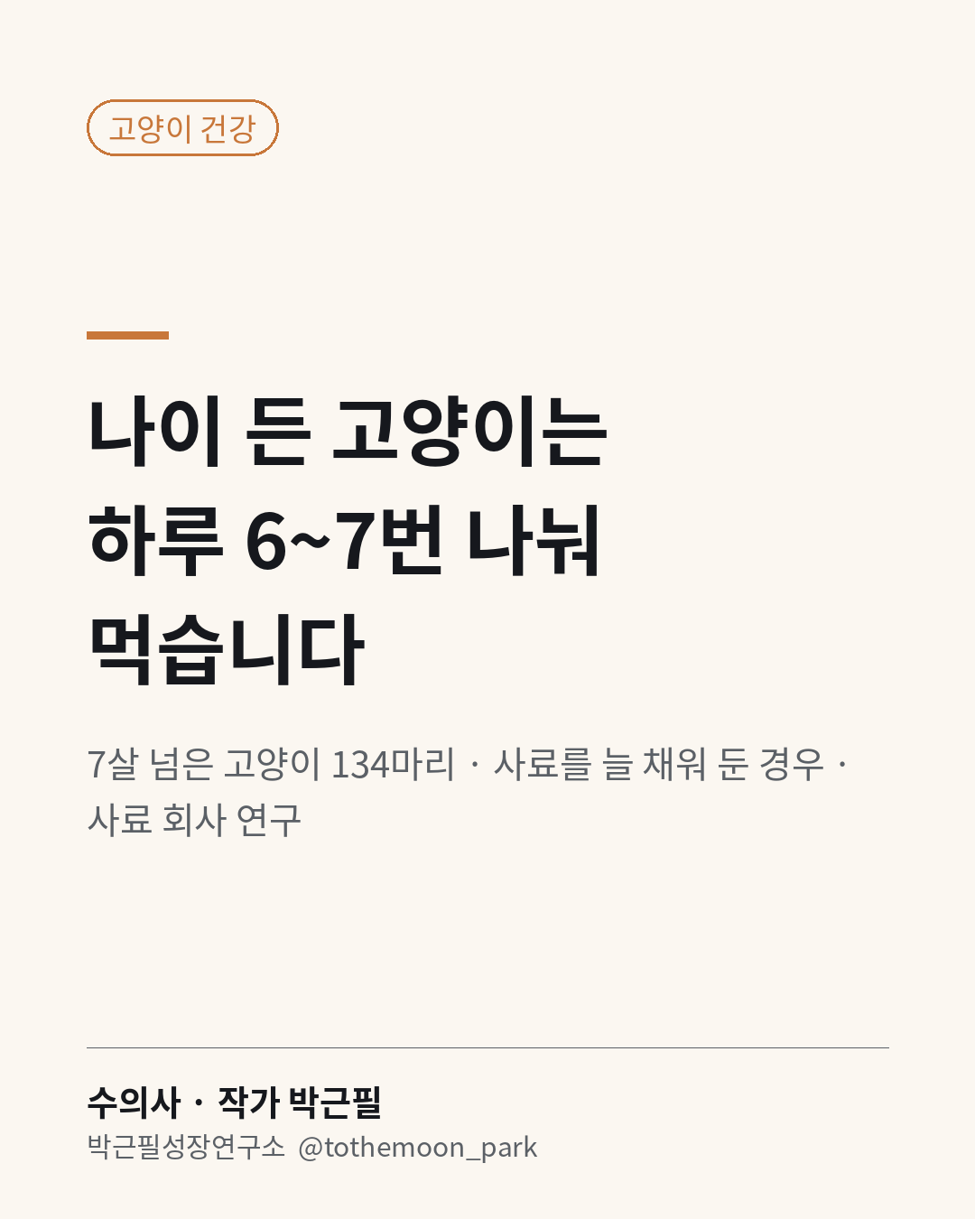나이 든 고양이, 하루에 몇 번 먹을까요?