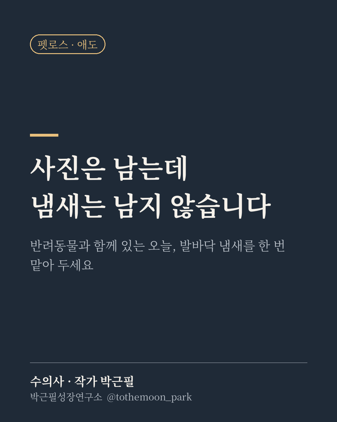 반려동물과 함께 있는 오늘, 발바닥 냄새를 한 번 맡아 두세요.