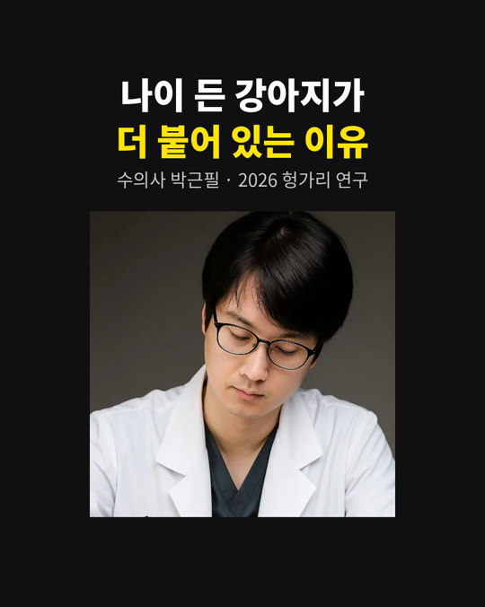 나이 든 강아지가 부쩍 곁에 붙어 있으려 할 때가 있습니다.