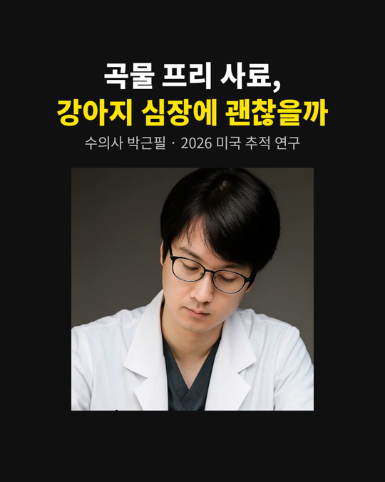 곡물 프리 사료, 강아지 심장에 괜찮을까요?