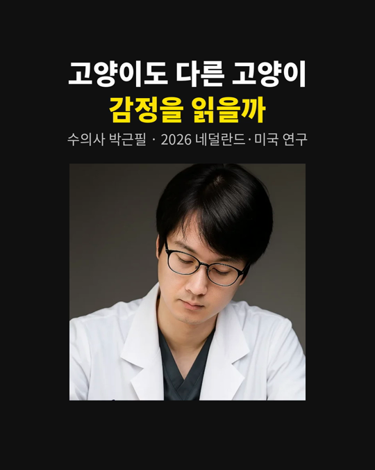 고양이도 다른 고양이의 감정을 읽을 수 있을까요?